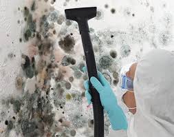 Environmental Consulting for Mold Prevention in Lakeside, FL